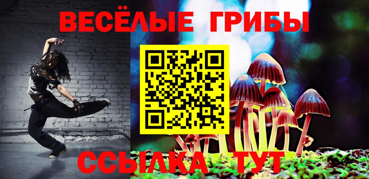 Псилоцибиновые грибы ЛСД  Волгодонск 