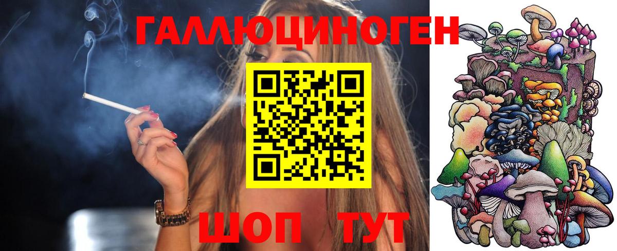 Галлюциногенные грибы Psilocybe  Вход с VPN  Волгодонск 