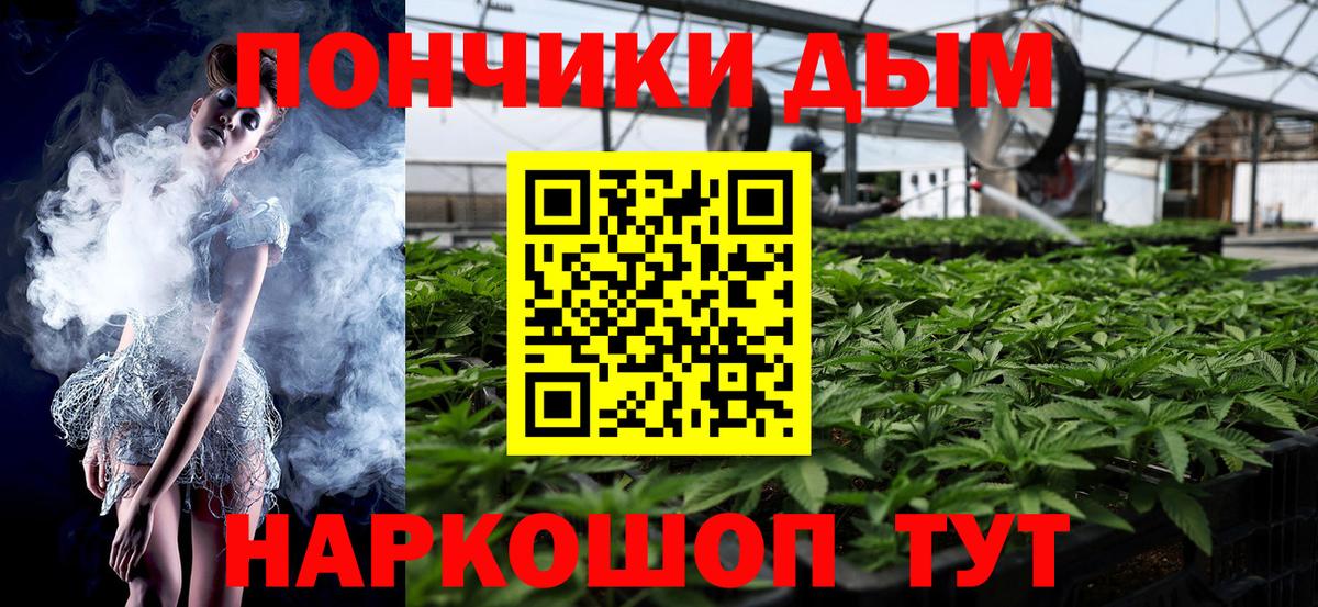 Бошки Шишки семена Волгодонск